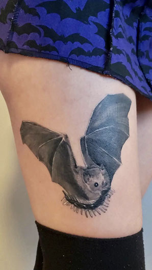 tattoo,aces,high,alex,rockoff,alexrockoff,west,palm,beach,traditional,neotraditional,beetle,beatle,flower,sunflower,floral,color